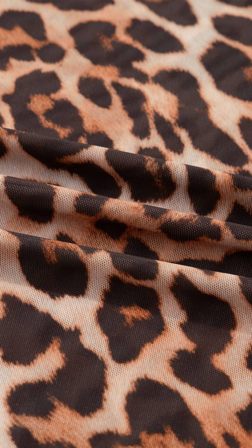 Leopard Mock Neck Long Sleeve Mesh Top
